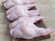 Picture of Rabbit Legs (pack of 6)